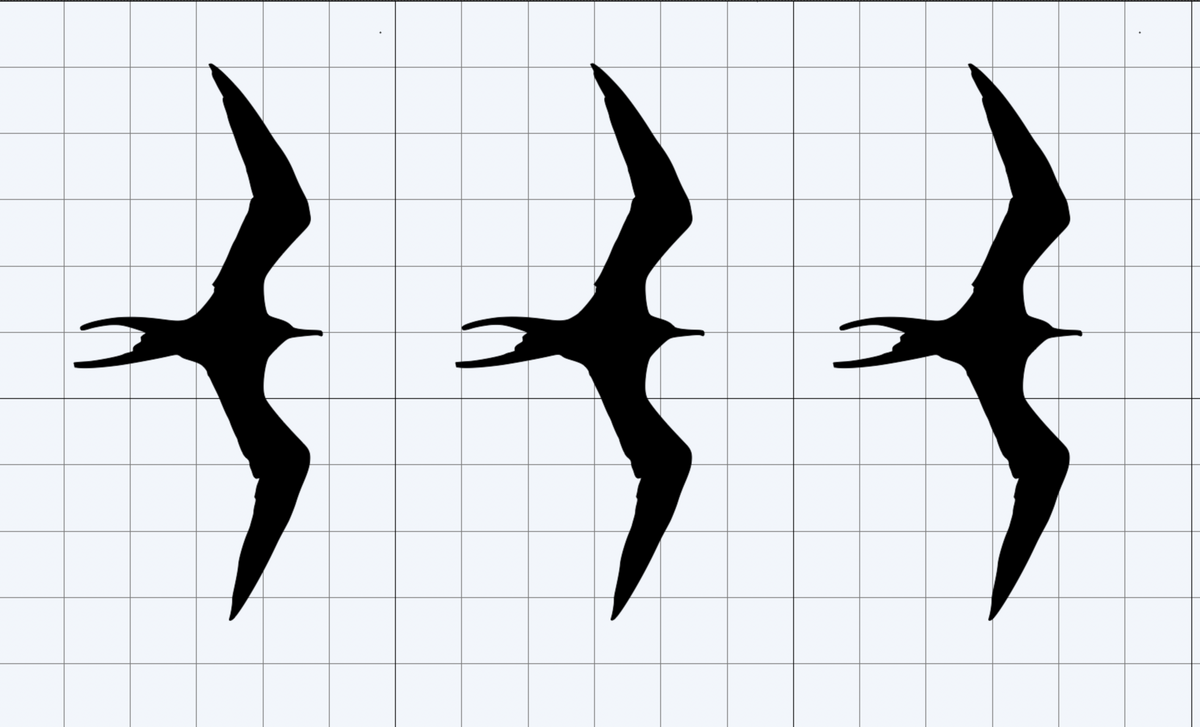 Iwa Bird