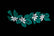 Naupaka Leaf and Flower w/ Iwa Bird Punchout