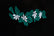 Naupaka Leaf and Flower w/ Iwa Bird Punchout