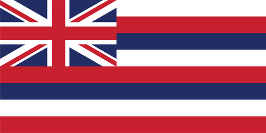 Hawaiian Flag Trucker Hat in Camo or Black