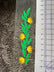 Ohia Flower & Maile Lei Sticker
