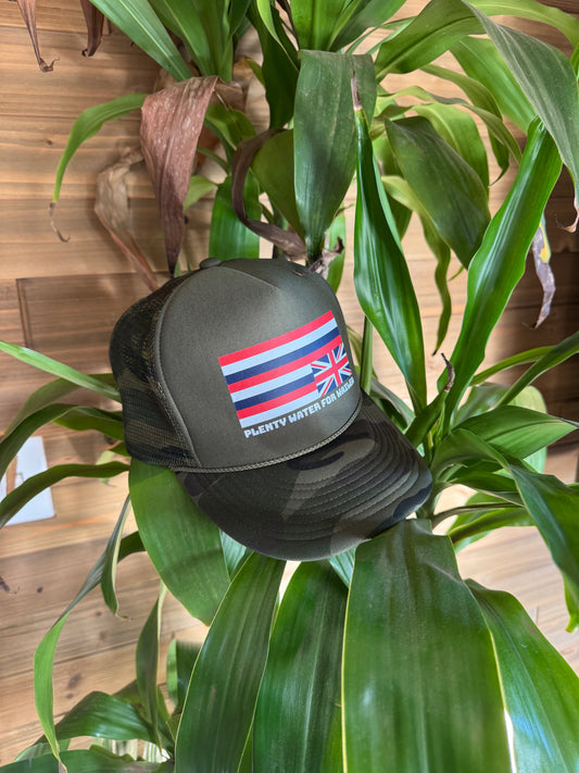 Plenty Water For Wailea Snapback Hats