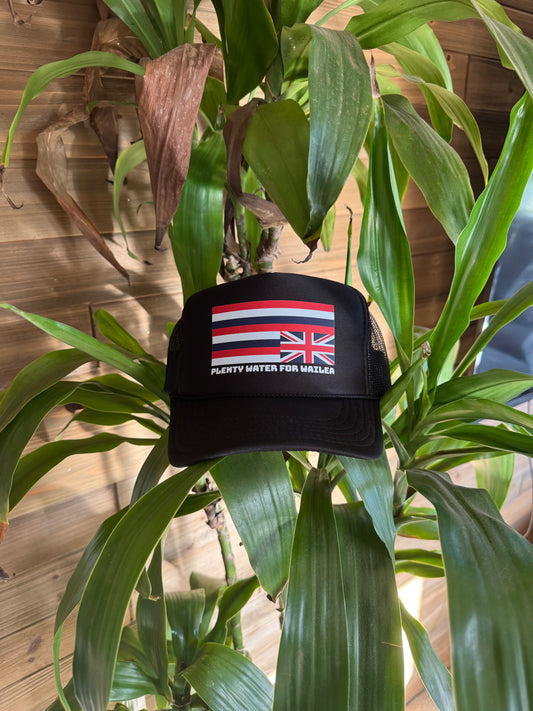 Plenty Water For Wailea Snapback Hats