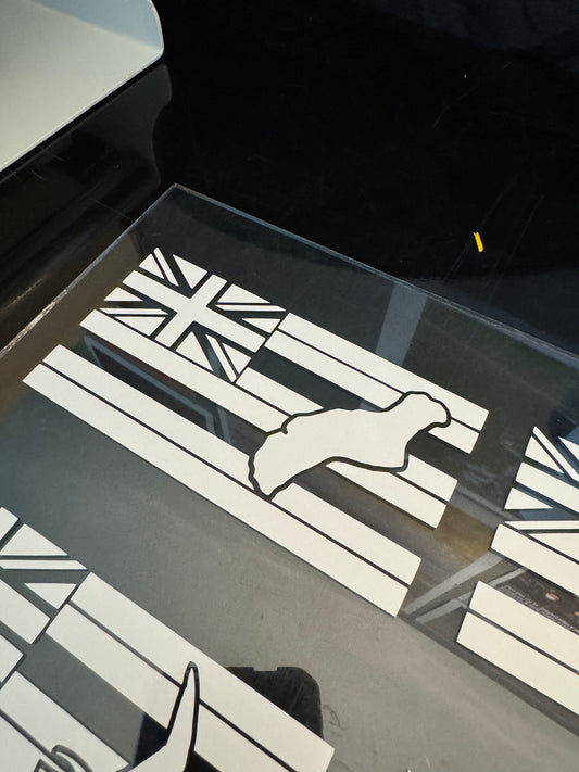 Hawaiian Flag x Island Punchout