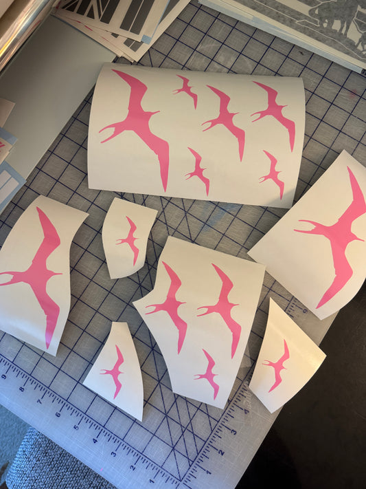 Iwa Bird Variety Pack (Includes 3 Sizes)