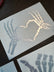 Skelton Middle Finger Decal