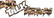 NTH Camo Decals