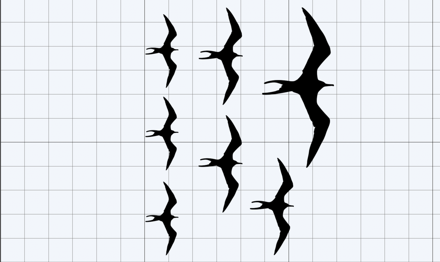 Iwa Bird Variety Pack (Includes 3 Sizes)