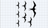 Iwa Bird Variety Size Pack - Includes 3 Sizes