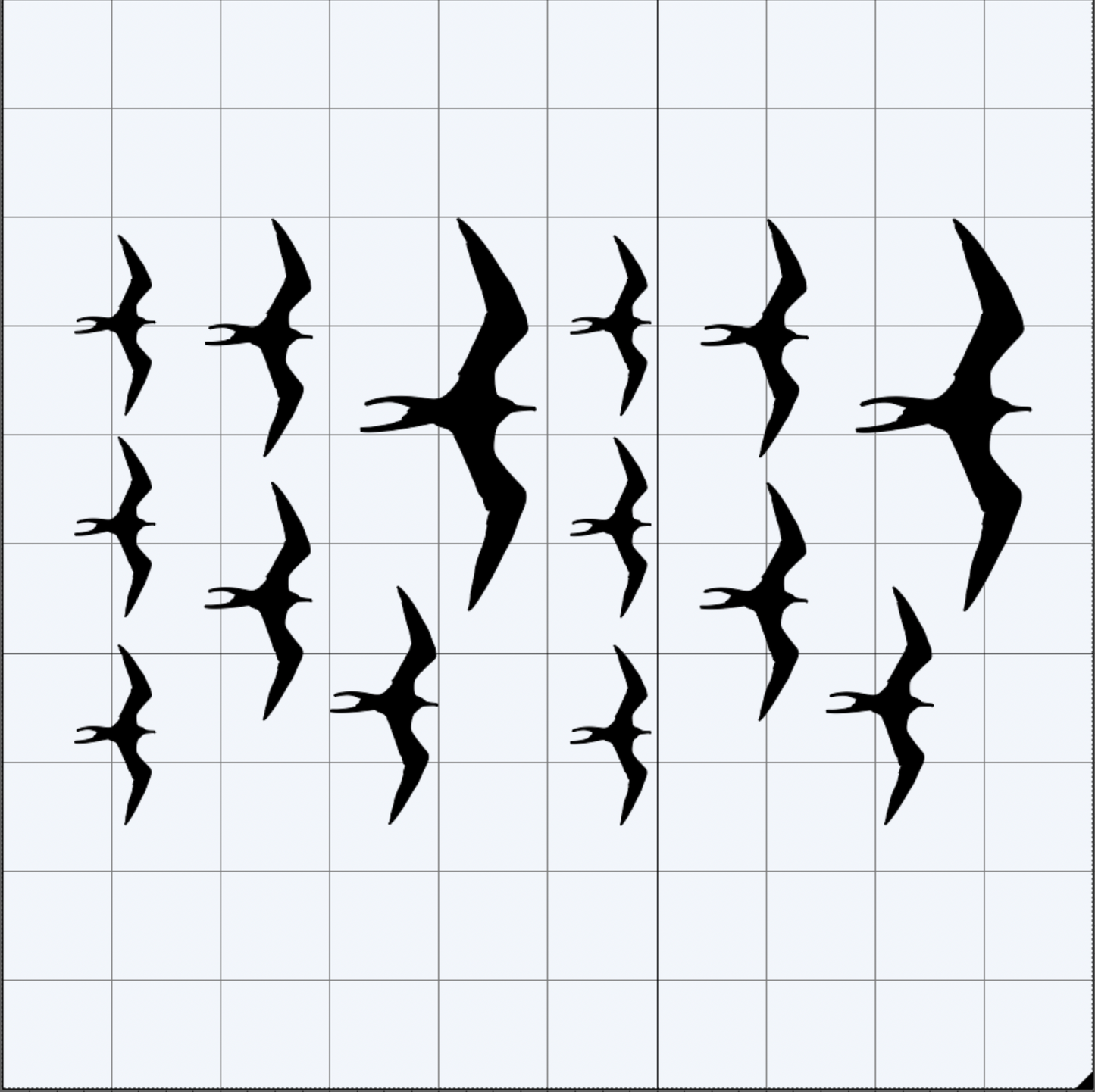 Iwa Bird Variety Pack (Includes 3 Sizes)