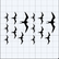 Iwa Bird Variety Size Pack - Includes 3 Sizes