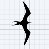 Iwa Bird Multi Pack (one size)
