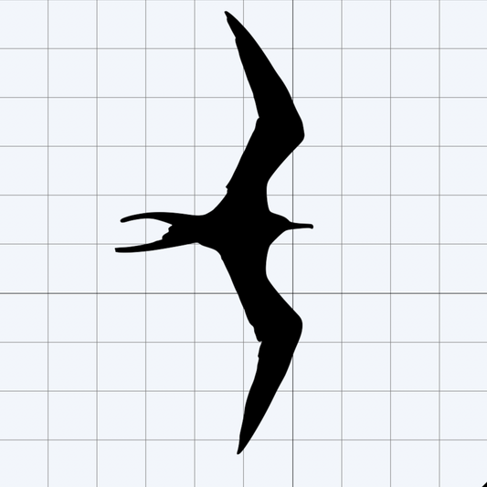 Iwa Bird Multi Pack