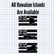 Hawaiian Flag x Island Punchout
