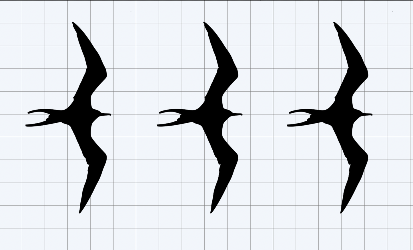 Iwa Bird Multi Pack