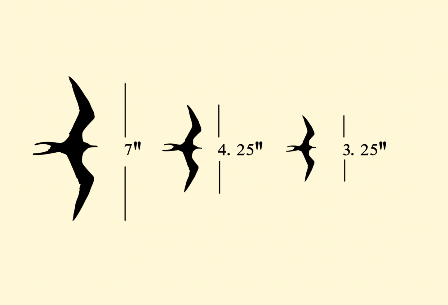 Iwa Bird Variety Pack (Includes 3 Sizes)
