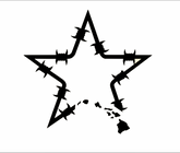 Stunna Hawai'i "Star Only" Decal