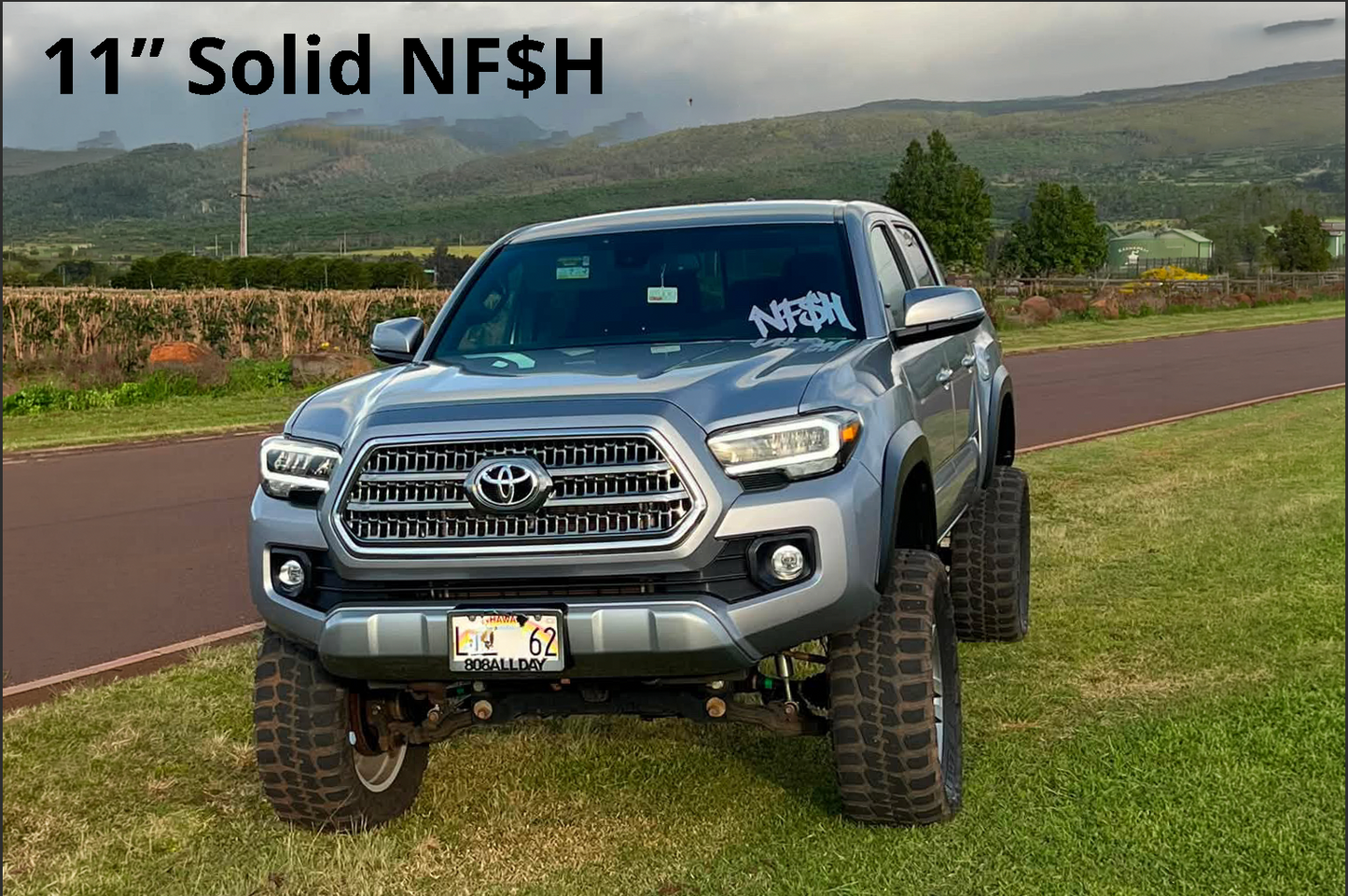 NF$H - No Front Straight Hustlin Decal