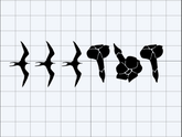 Iwa Bird x Puakenikeni Flower Strip Decal