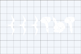 Iwa Bird x Puakenikeni Flower Strip Decal