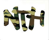 NTH Camo Decals