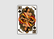 Queen Liliuokalani Deck Of Cards Decals