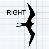 Large Iwa Bird Decal (Left or Right Facing)